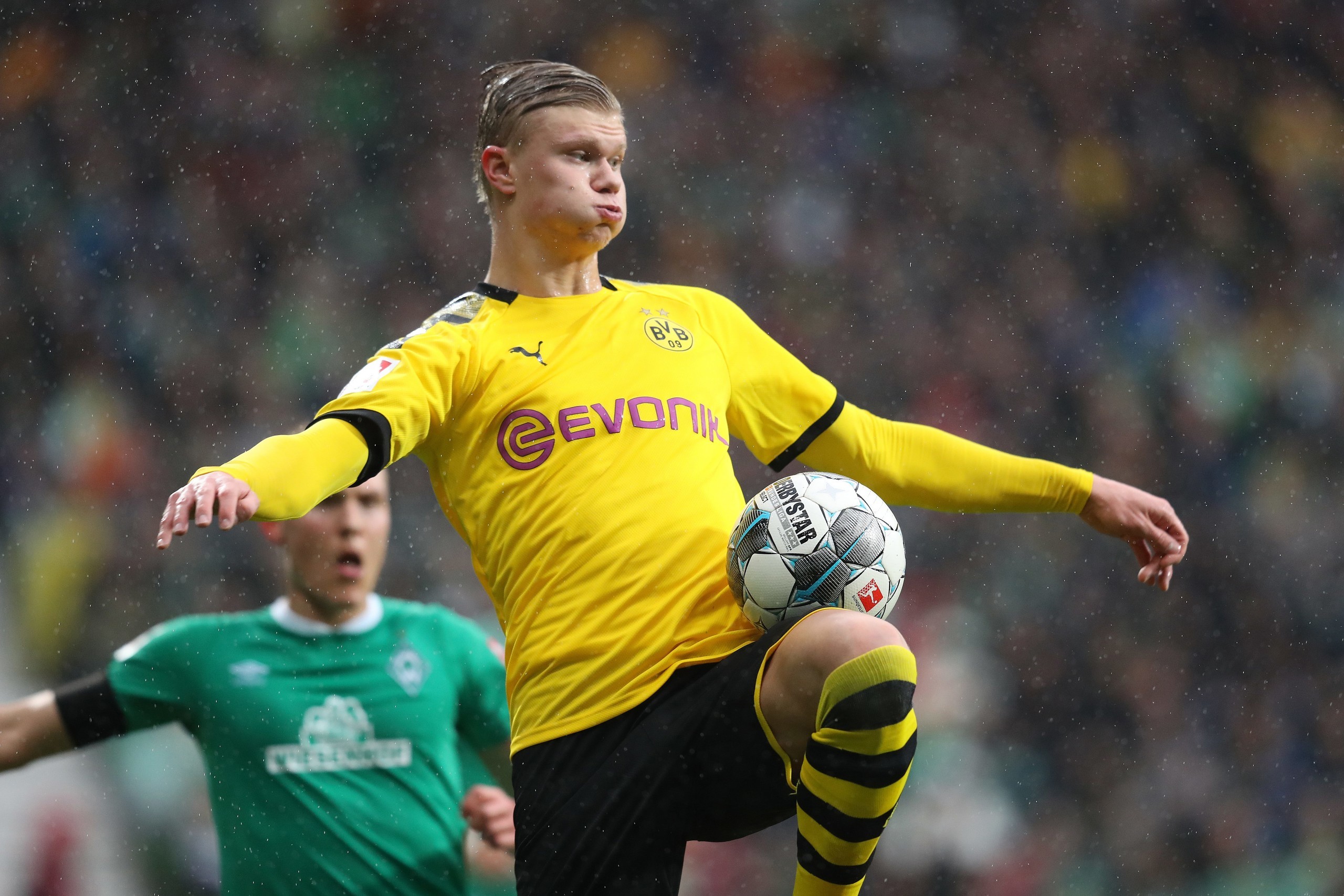 再制干酪和干酪制品